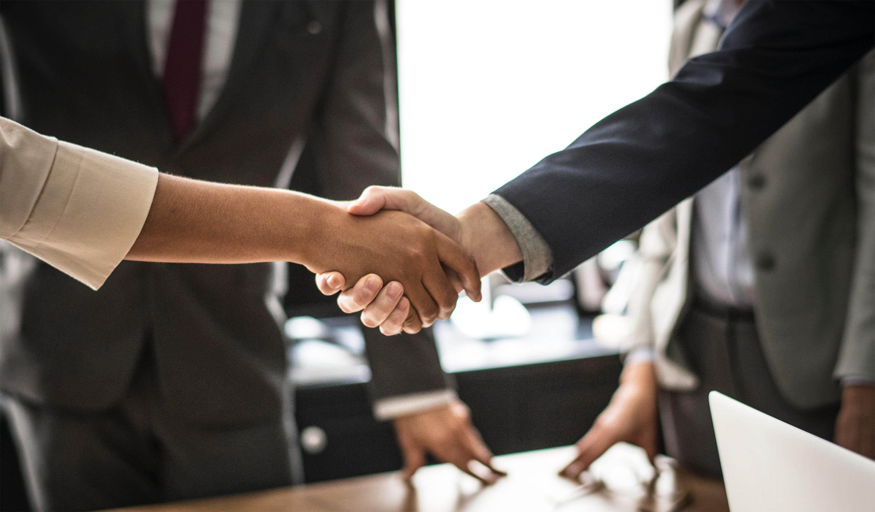 People shaking hands during business meeting