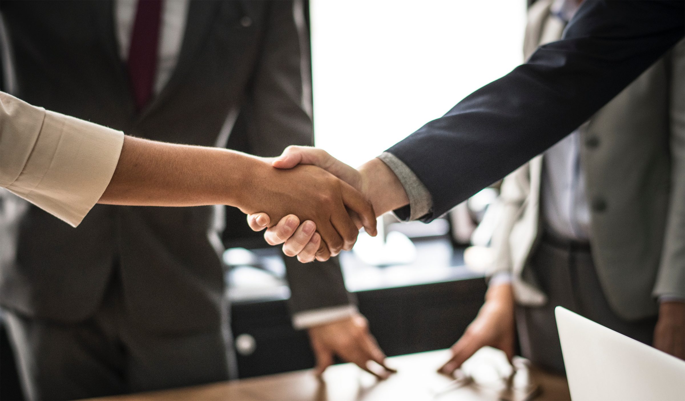 People shaking hands during business meeting